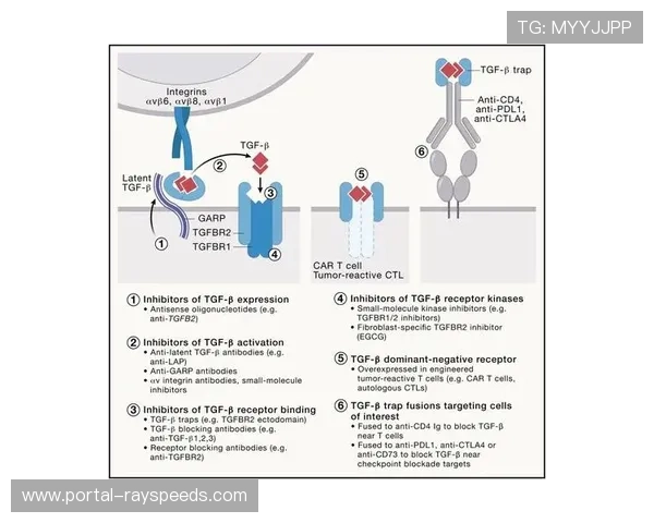 信号管理正由重资产转向订阅服务模式 激活了中小型机构的制播潜力 信号管理正由重资产转向订阅服务模式 激活了中小型机构的制播潜力